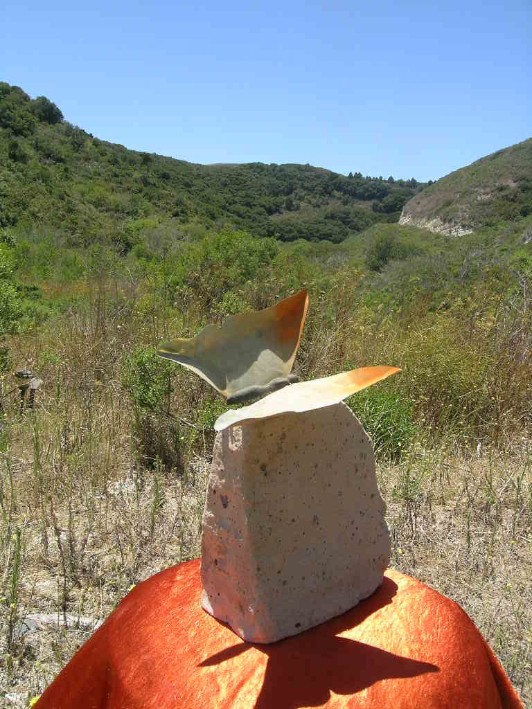 Description: Description: Description: C:\Users\Leo\Desktop\business\business\hummingbirds\pics\pics and vids of hum fish but\DSCN1859.JPG